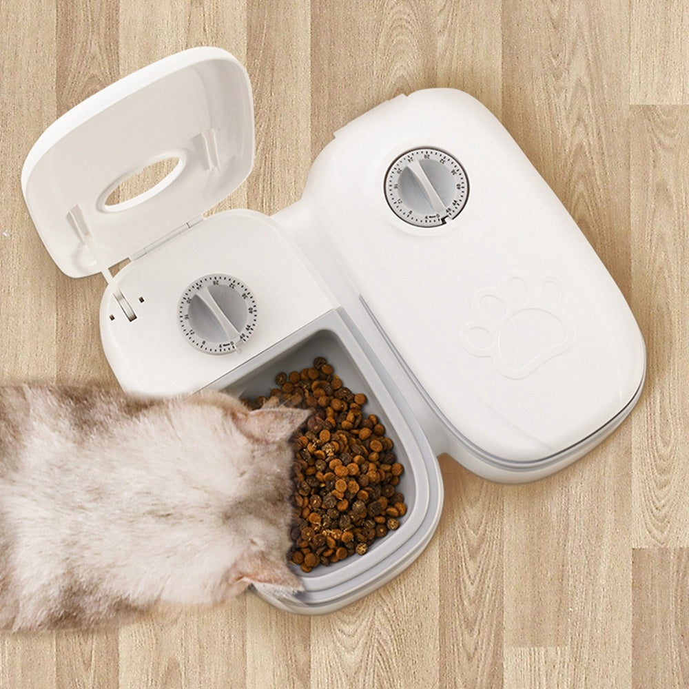 Mattiden – Automatic pet feeder for dogs & cats