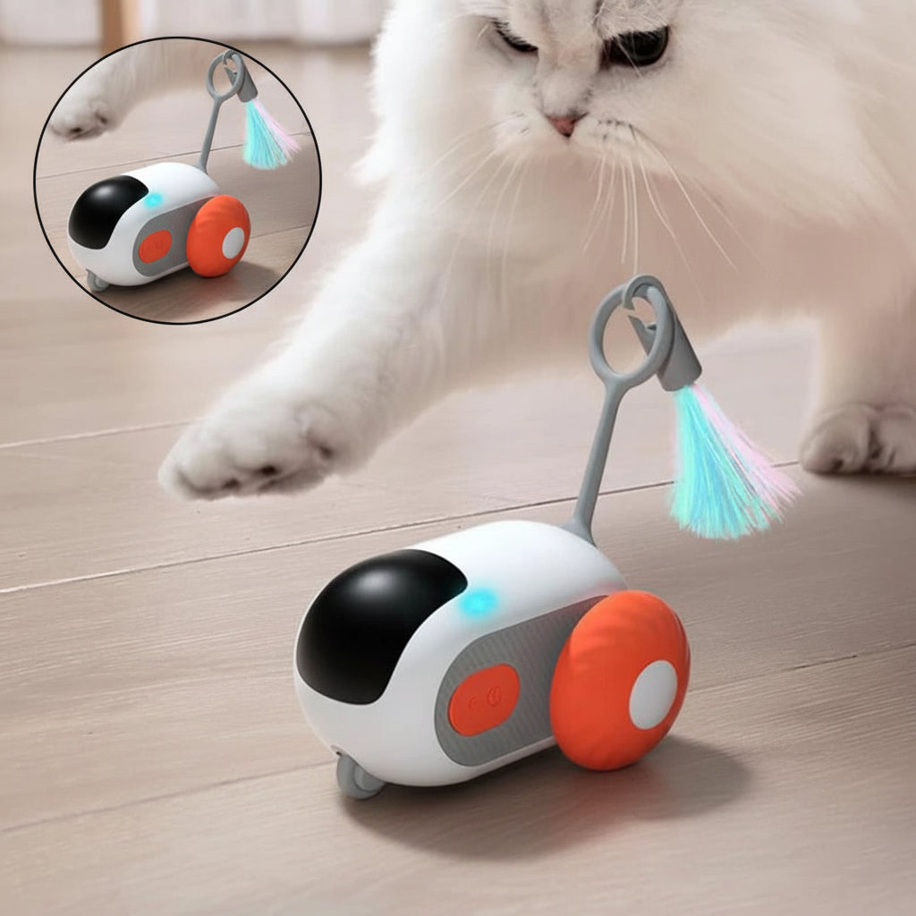 Purr-Racer – Självgående leksaksbil för katt
