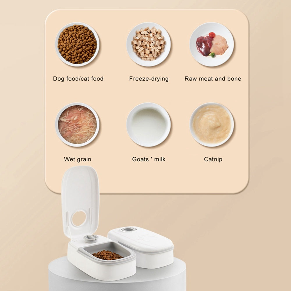Mattiden – Automatic pet feeder for dogs & cats