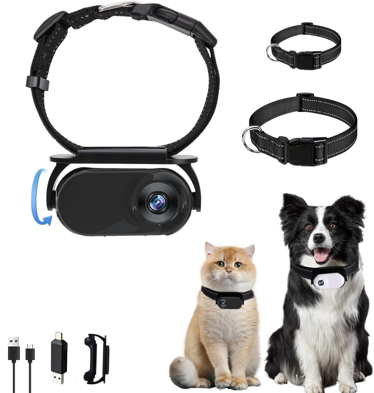 PälsCam – Kamerahalsband för katt & hund