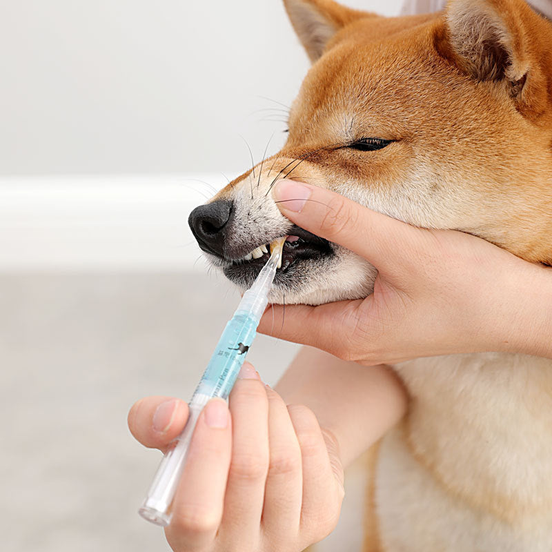 SmileKit – Tandvårdspennor för hund & katt (2-pack)