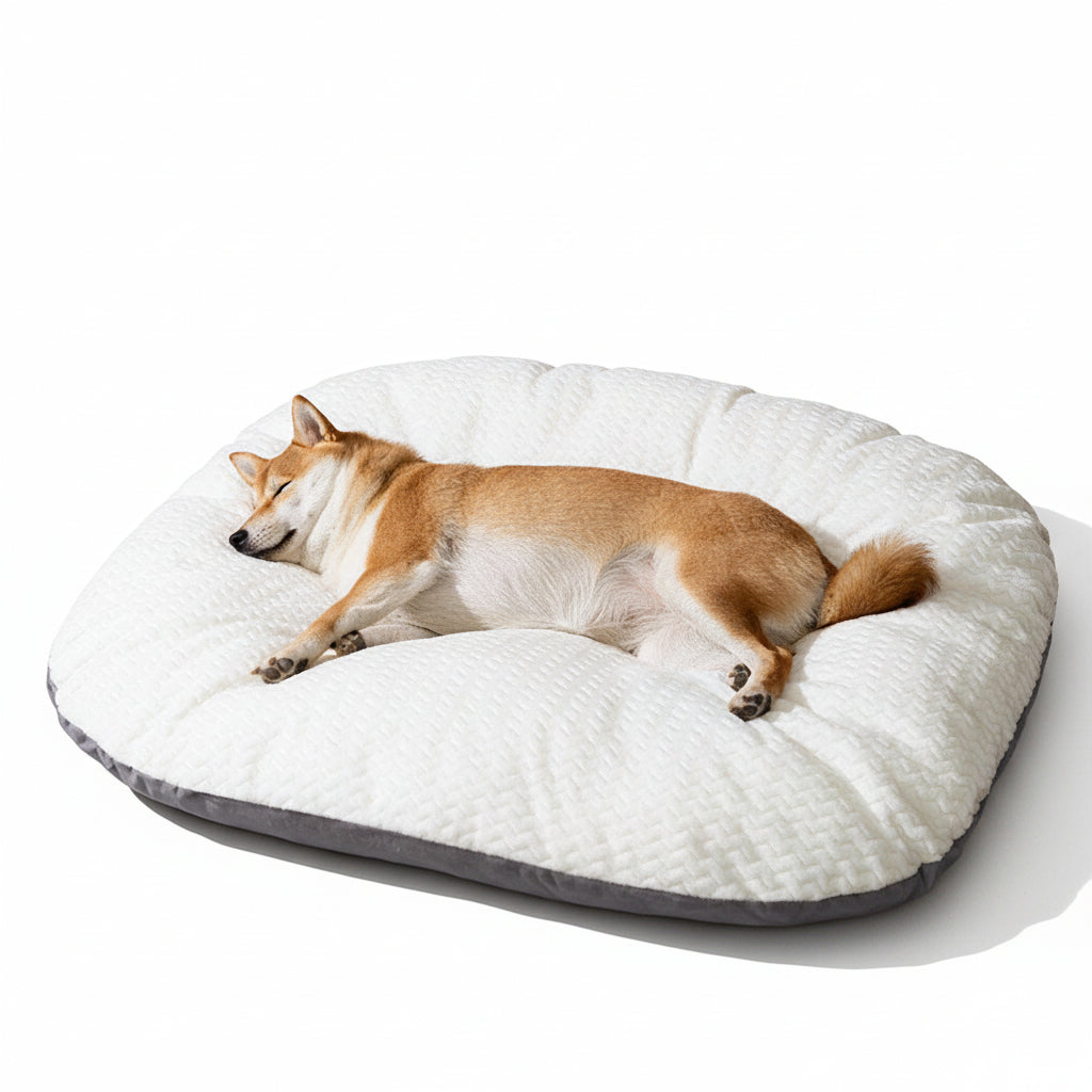The Dream Mattress – Soft dog mattress with washable cover