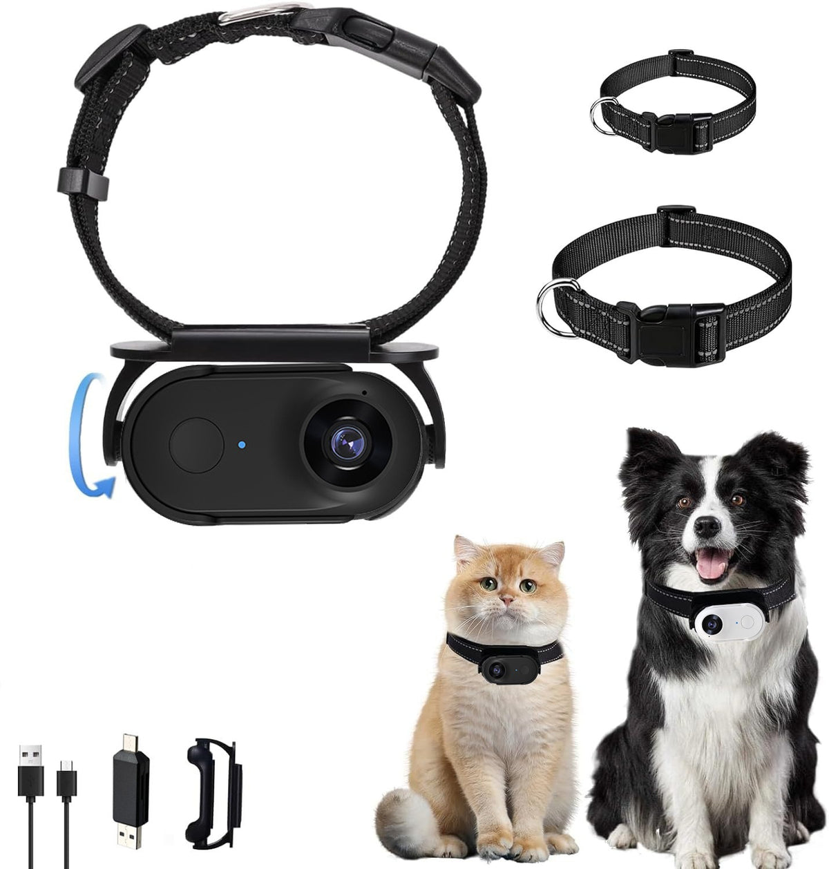 PälsCam – Kamerahalsband för katt & hund