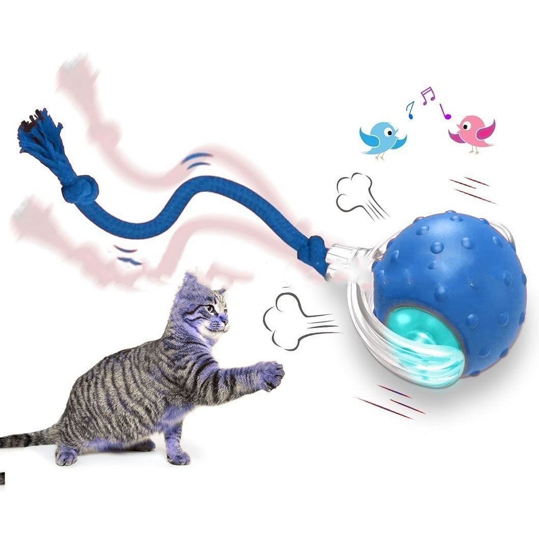 Jaktbollen – Interaktiv leksaksboll för katt