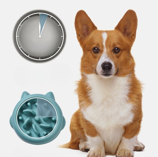 Slow Feeder – Food bowl that helps dogs & cats eat more calmly
