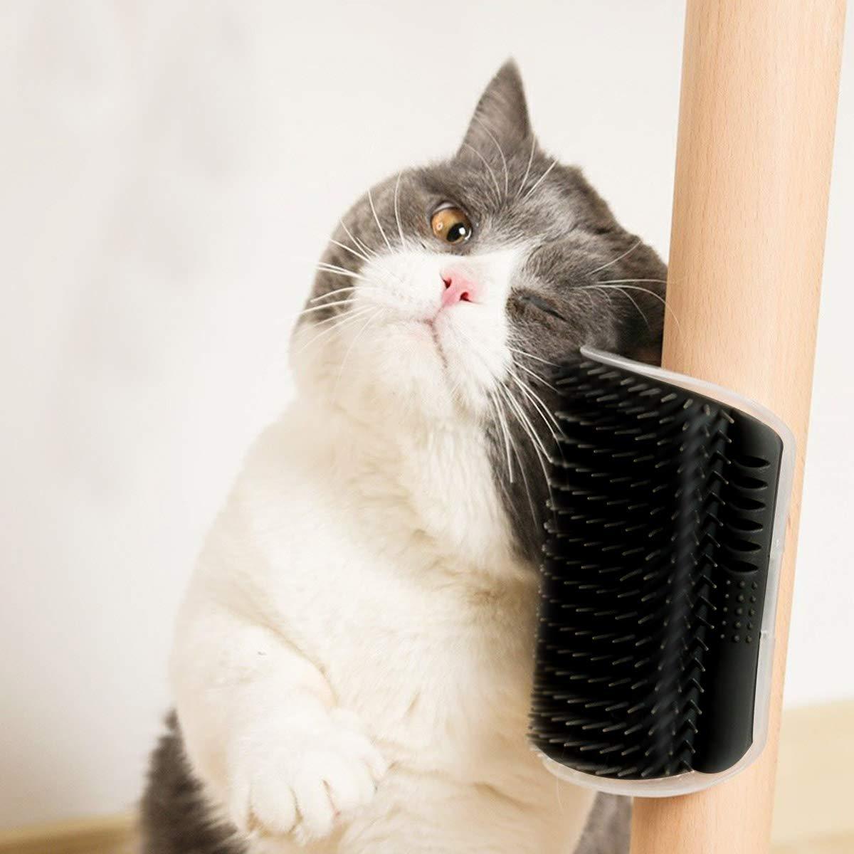 Hörnborsten – Självmassage & pälsvård för katt