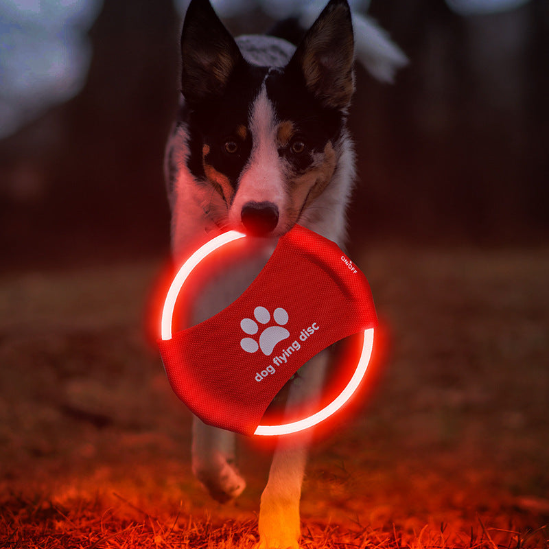 Lysfrisbeen – LED-frisbee för lek i mörkret