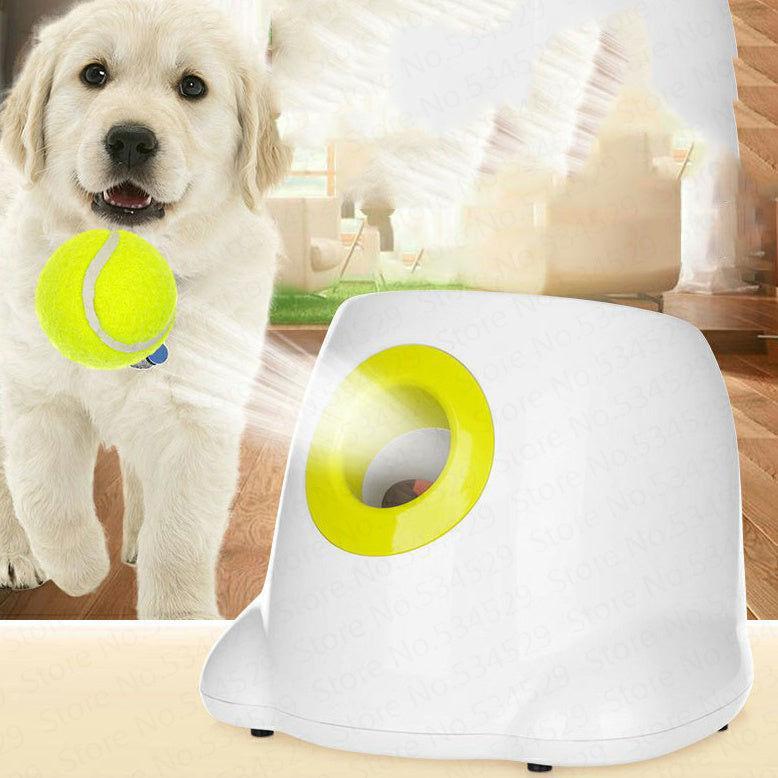 Auto-Fetch – Automatisk bollkastare för hund