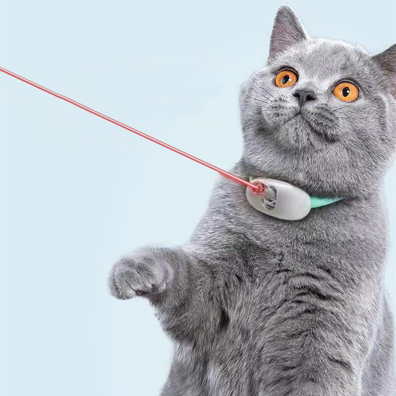 Laserjakten – Halsband med laserleksak för katt