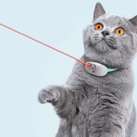 Laserjakten – Halsband med laserleksak för katt