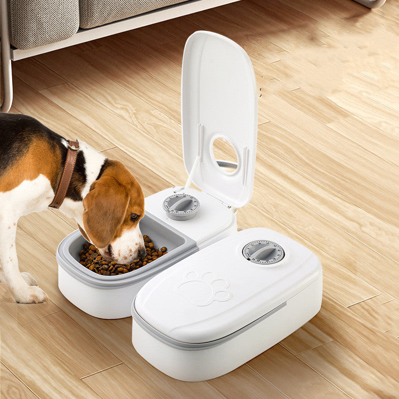 Mattiden – Automatic pet feeder for dogs & cats